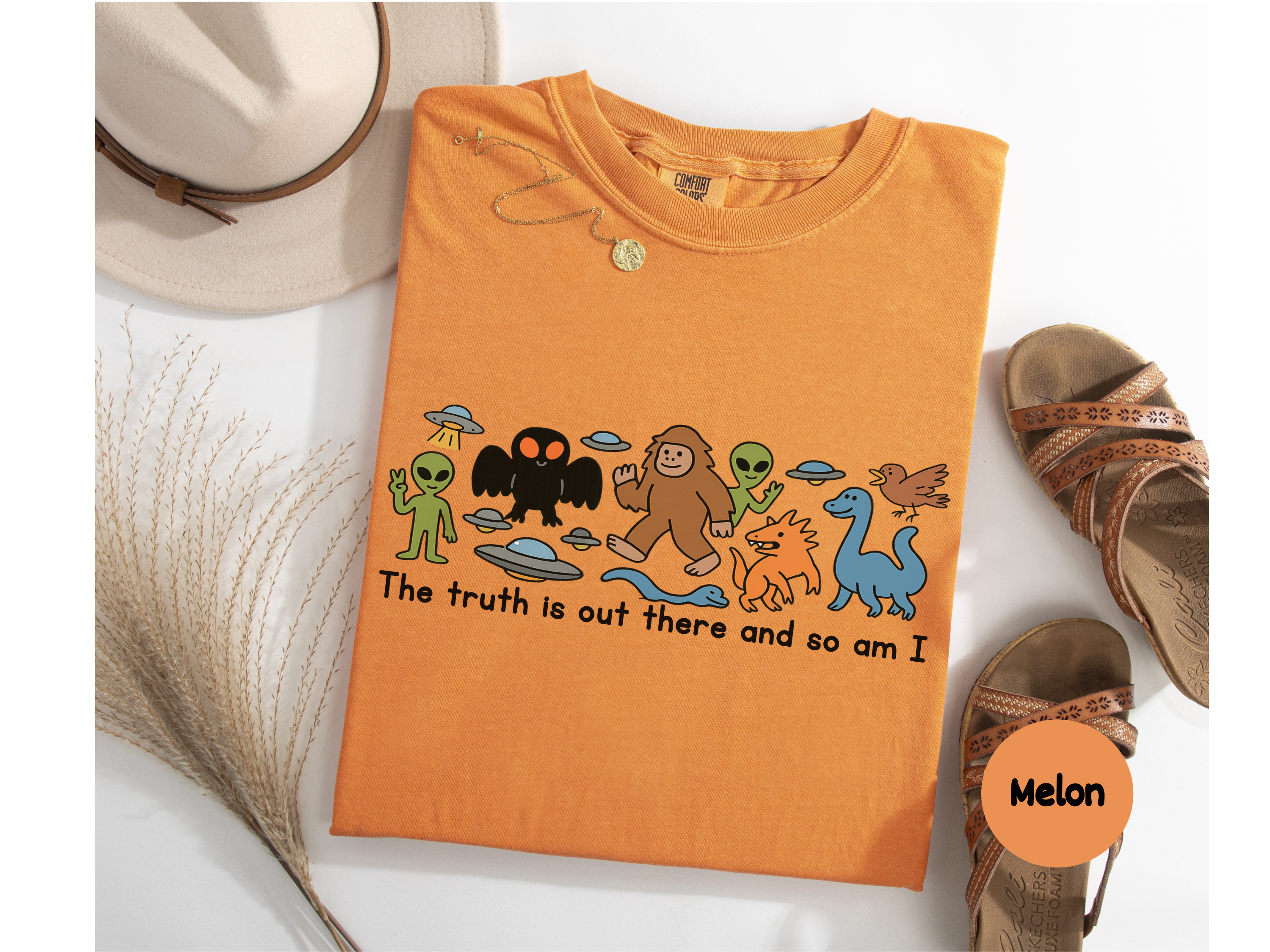 Funny Conspiracy Shirt